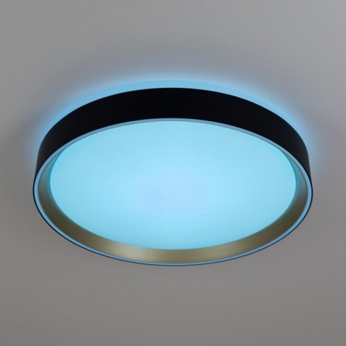 Накладной светильник Citilux BOSS CL751351G в Белово фото 4