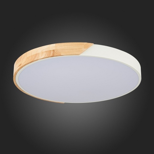 Накладной светильник EVOLUCE Festa SLE200952-01 в Нижнем Новгороде фото 9