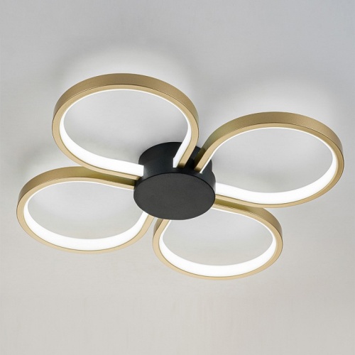 Потолочная люстра Escada Clover 10243/4LED в Нижнем Новгороде фото 5