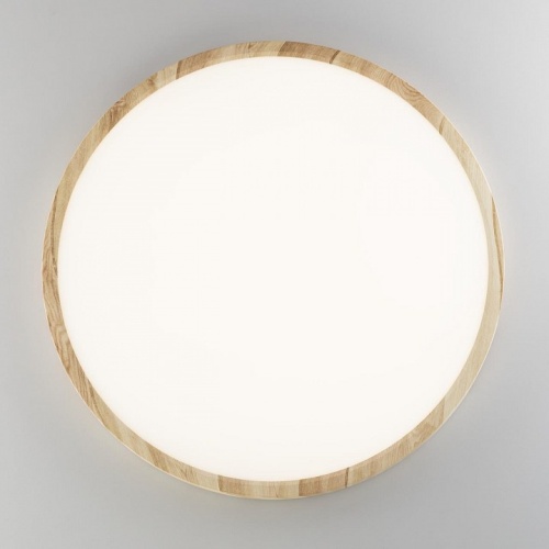 Накладной светильник Citilux Бейсик CL738322V в Нижнем Новгороде фото 2