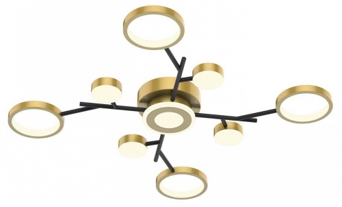 Потолочная люстра F-promo Hybrid 4686-9C в Нижнем Новгороде фото 4
