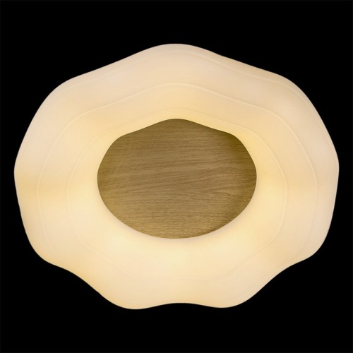 Накладной светильник 01029-0.3-01 WOOD в Нижнем Новгороде фото 3