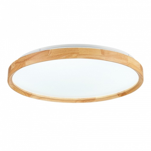 Накладной светильник EVOLUCE DELIA SLE201382-01 в Нижнем Новгороде фото 4