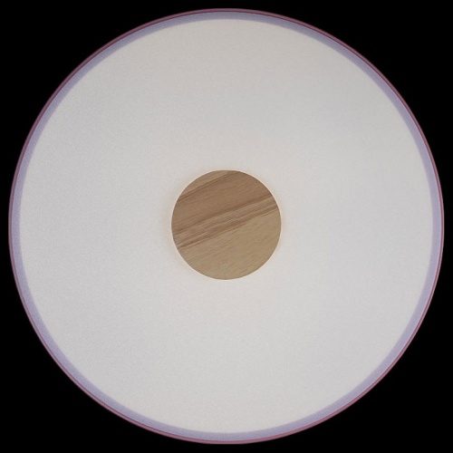 Накладной светильник Loft it Axel 2 10003/24 Pink в Нижнем Новгороде фото 2