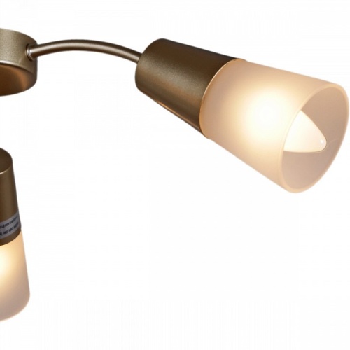 Потолочная люстра 01266-0.3-03B GOLD в Нижнем Новгороде фото 3