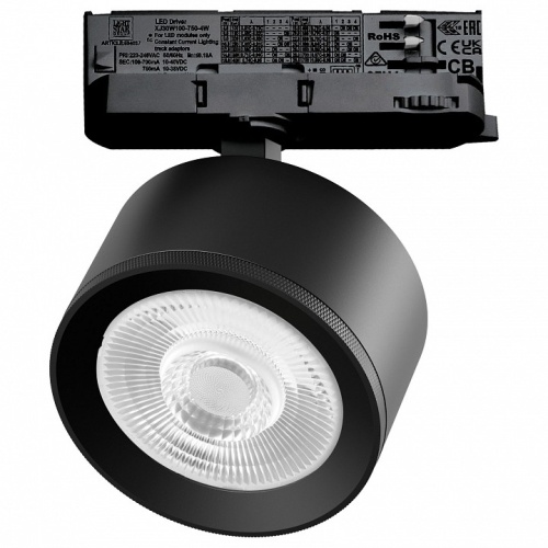 Светильник на штанге Lightstar Alta Pro A5547QT60G в Нижнем Новгороде