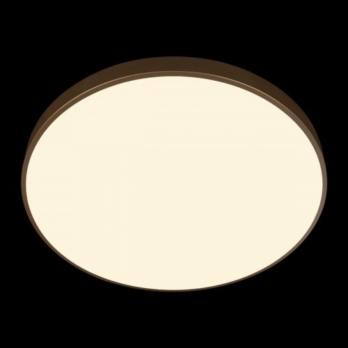 Накладной светильник Loft it Flims 10228/B в Тюмени фото 3