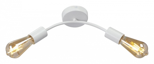 Накладной светильник Vitaluce V4989 V4989-0/2PL в Нижнем Новгороде