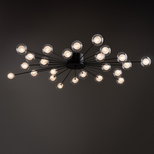 Потолочная люстра Freya Celebrity FR5242CL-24B1 в Нижнем Новгороде фото 8