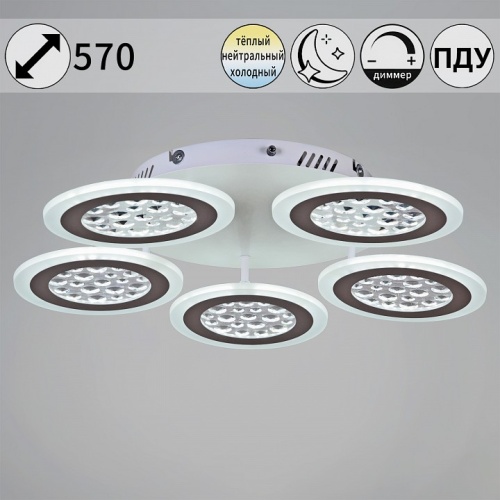 Потолочная люстра 20491-0.3-05 WT в Нижнем Новгороде фото 3