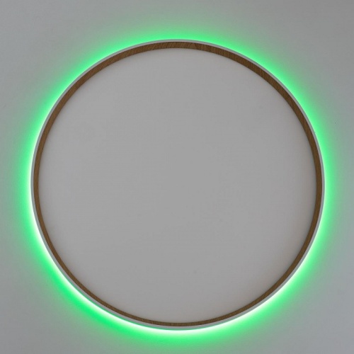 Накладной светильник Citilux ETALON CL750500R в Нижнем Новгороде фото 8