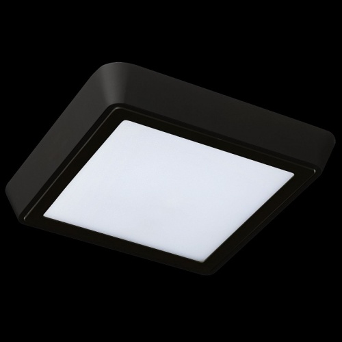 Накладной светильник Lightstar Urbano 216874 в Нижнем Новгороде фото 3