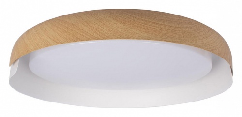 Накладной светильник Loft it Coin 10198 White в Нижнем Новгороде фото 3