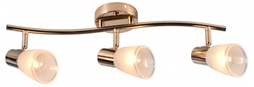 Люстра на штанге  05947-0.8-03 FGD в Нижнем Новгороде