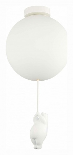 Накладной светильник EVOLUCE Modena SLE115412-01 в Нижнем Новгороде фото 2