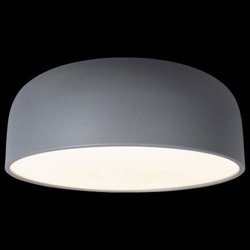 Накладной светильник Loft it Axel 10201/480 Grey в Нижнем Новгороде фото 2