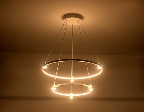 Подвесной светильник Ambrella Light FL FL5505 в Нижнем Новгороде фото 7