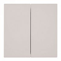 Выключатель двухклавишный без рамки Stekker Мия 50473 в Нижнем Новгороде