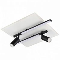 Накладной светильник Lumion STELLS 8256/40CL в Нижнем Новгороде