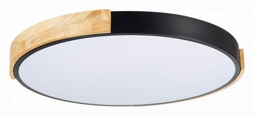 Накладной светильник EVOLUCE Delia SLE201342-01 в Нижнем Новгороде