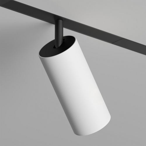 Светильник на штанге Denkirs SMART SPOT DK8041-BW+BK в Нижнем Новгороде фото 2