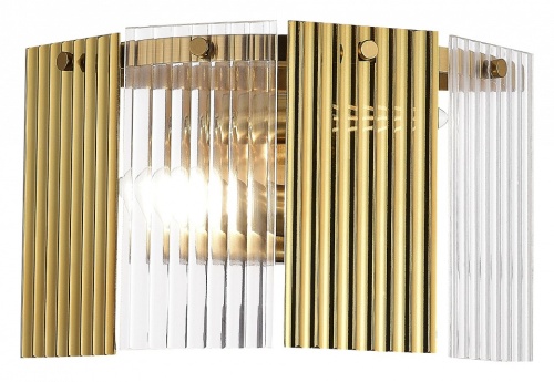 Накладной светильник EVOLUCE Tresa SLE1123-301-02 в Нижнем Новгороде фото 5