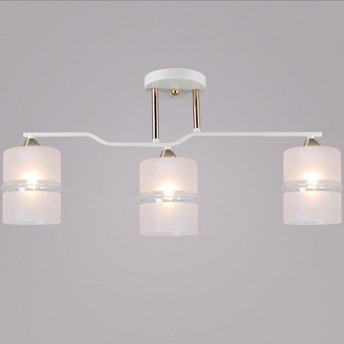 Светильник на штанге 02283-0.3-03 WT+FGD в Нижнем Новгороде