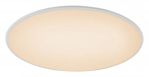 Накладной светильник Mantra Slim 7975 в Нижнем Новгороде