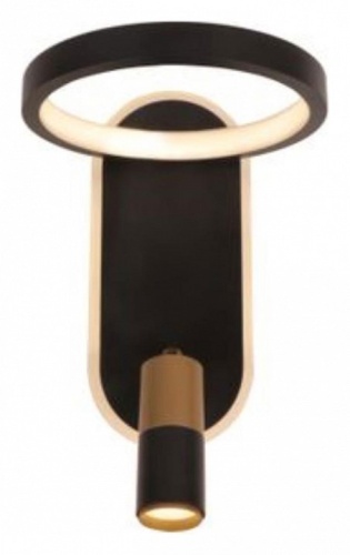 Бра с подсветкой Arte Lamp Toliman A2613AP-2BK в Нижнем Новгороде