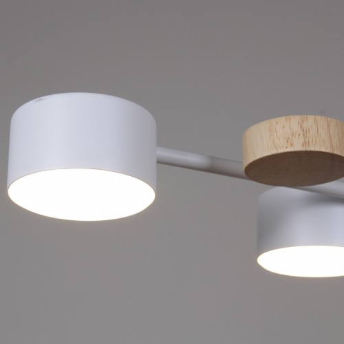 Люстра на штанге 03758-0.3-06 WT+WOOD GX53 в Нижнем Новгороде фото 2