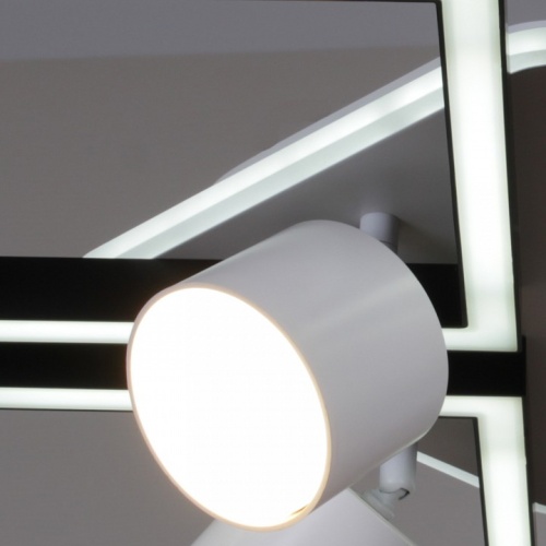 Потолочная люстра 75406-0.3-4+4+1 в Нижнем Новгороде фото 3