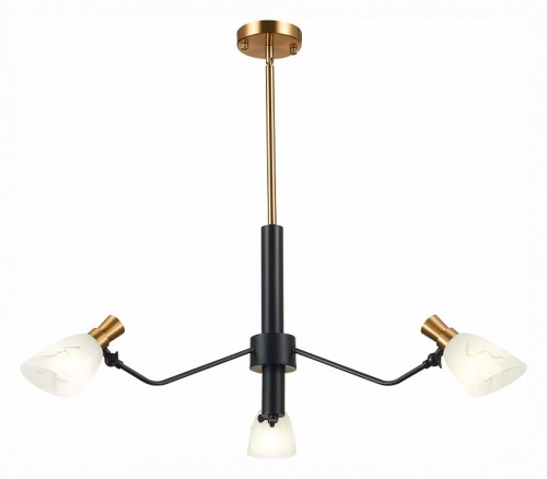 Люстра на штанге EVOLUCE Lita SLE205403-03 в Нижнем Новгороде фото 5