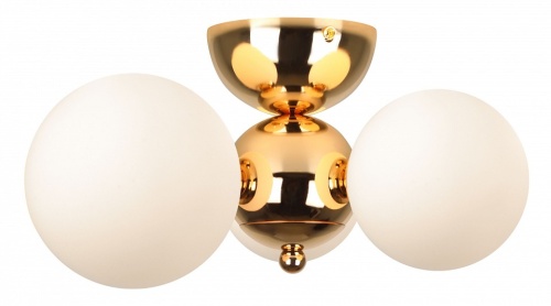 Потолочная люстра Rivoli Liviana Б0066413 в Нижнем Новгороде фото 2