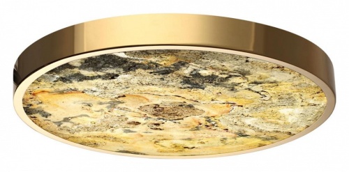 Накладной светильник Odeon Light Bergi 5079/40L в Нижнем Новгороде фото 11