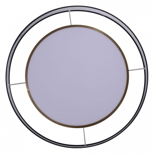 Накладной светильник Zortes Bella ZRS.27510.05 в Нижнем Новгороде фото 4