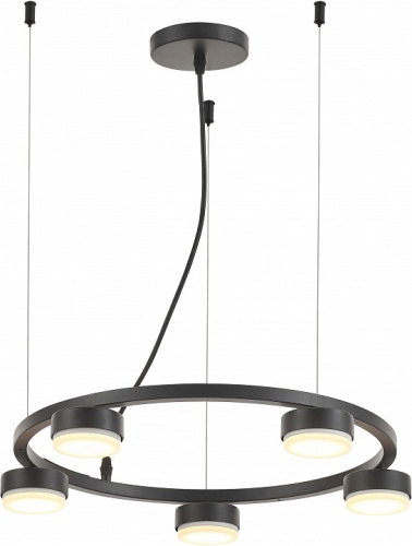 Подвесная люстра Rivoli Leontina Б0066428 в Нижнем Новгороде фото 3