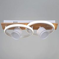 Накладной светильник 29560-0.3-2+2 WH+WOOD в Нижнем Новгороде