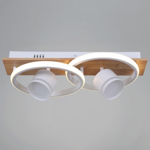 Накладной светильник 29560-0.3-2+2 WH+WOOD в Нижнем Новгороде