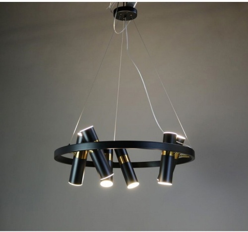 Подвесная люстра Zortes Tweeny ZRS.1828.60 в Нижнем Новгороде фото 6