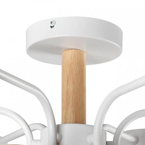 Люстра на штанге Lumion Rondo 8231/6C в Нижнем Новгороде фото 2