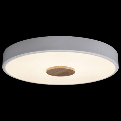 Накладной светильник Loft it Axel 2 10003/24 White в Нижнем Новгороде фото 3