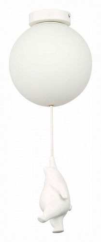 Накладной светильник EVOLUCE Modena SLE115422-01 в Нижнем Новгороде фото 2