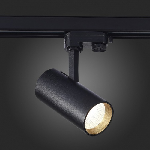 Светильник на штанге ST-Luce ST661 ST661.436.20 в Нижнем Новгороде фото 2