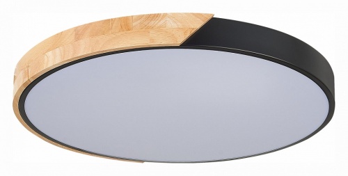 Накладной светильник EVOLUCE Festa SLE200942-01 в Нижнем Новгороде фото 4