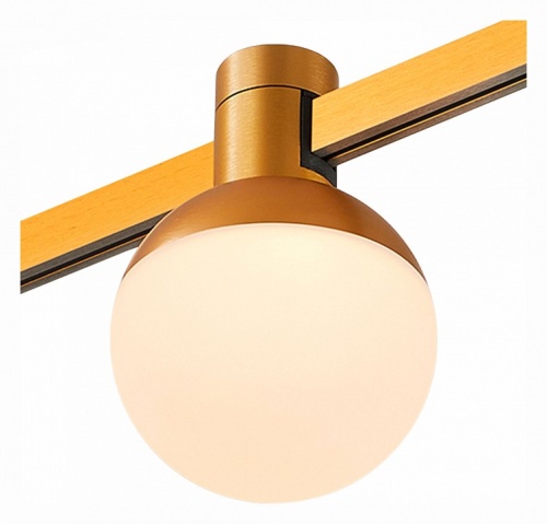 Светильник на штанге ST-Luce Farm ST815.206.05 в Нижнем Новгороде фото 4