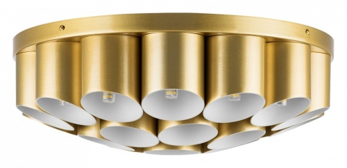 Потолочная люстра Lightstar Siena 720222 в Соколе