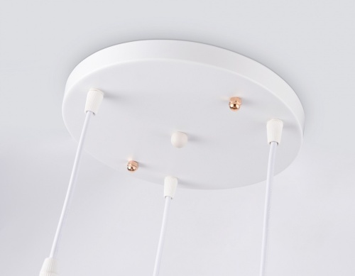 Подвесной светильник Ambrella Light TR TR8433 в Нижнем Новгороде фото 2