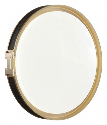 Накладной светильник Sonex Favemo Black 7667/DL в Нижнем Новгороде фото 3