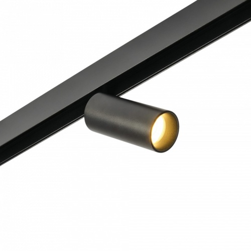 Светильник на штанге MyFar Ray MT0220-12W3K-B в Нижнем Новгороде фото 3