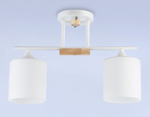 Светильник на штанге Ambrella Light TR TR9541 в Нижнем Новгороде фото 2